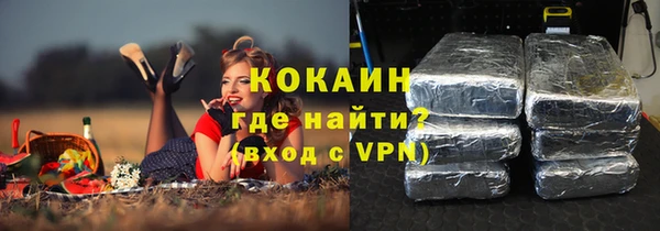 первитин Новодвинск