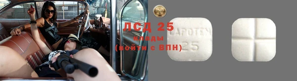первитин Новодвинск