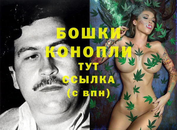 первитин Новодвинск