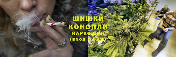 mdma Новозыбков
