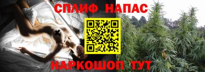 мяу мяу мука Ирбит