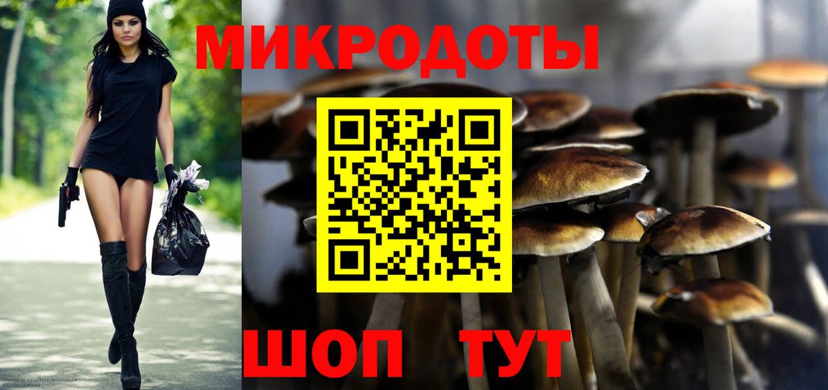 Советск  Галлюциногенные грибы Magic Shrooms  Вход с VPN  Галлюциногенные грибы прущие грибы 