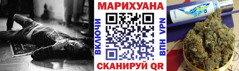 Конопля гибрид  Советск 